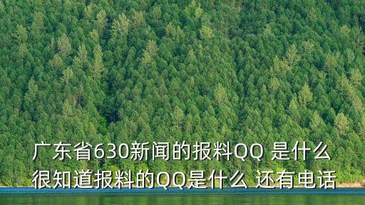 廣東省630新聞的報(bào)料QQ 是什么 很知道報(bào)料的QQ是什么 還有電話