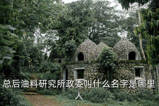 廣州軍區后勤部宿合忠，總后油料研究所政委叫什么名字是哪里人