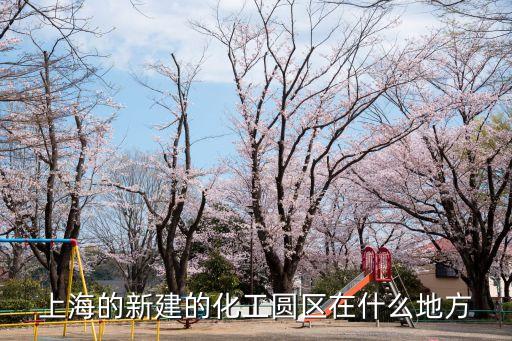 上海的新建的化工圓區在什么地方