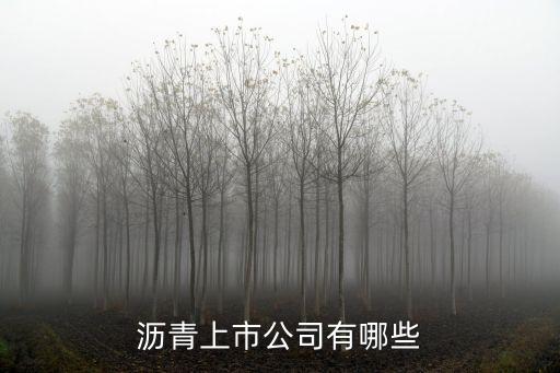 廣州瀝青公司有哪些，瀝青上市公司有哪些