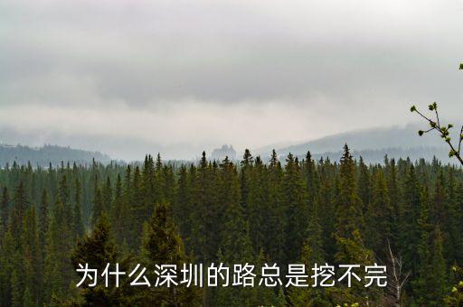 深圳為什么一年四季修路，為什么杭州一年四季都在修路的