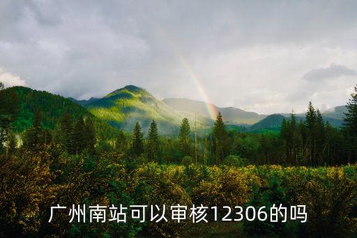 廣州南站可以審核12306的嗎