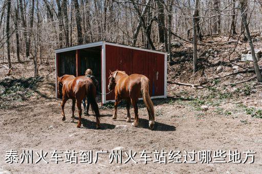 泰州到廣州途經(jīng)哪些站，泰州到廣州的火車?？磕膫€站