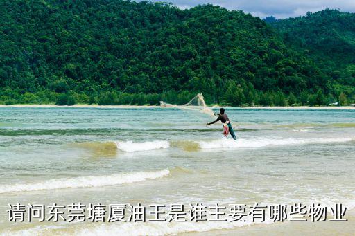 東莞銀通加油站介紹，東莞的主球場(chǎng)的詳細(xì)地址
