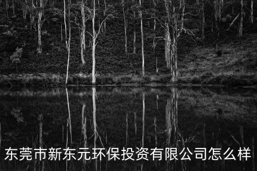 東莞市新東元環保投資有限公司怎么樣