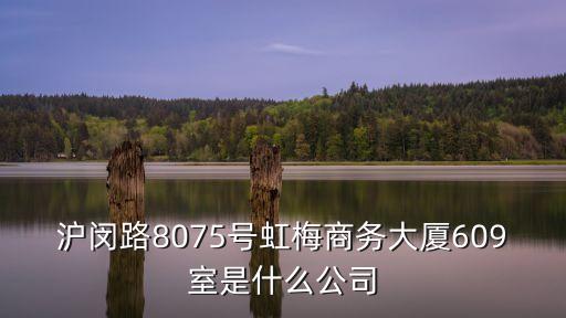 滬閔路8075號虹梅商務大廈609室是什么公司