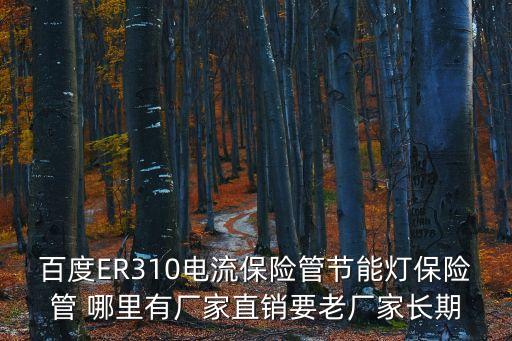 百度ER310電流保險管節能燈保險管 哪里有廠家直銷要老廠家長期