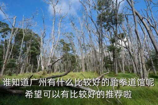 廣州軍體院跆拳道，廣州哪里有好的跆拳道館價錢不是問題啊大概400元以下都可以