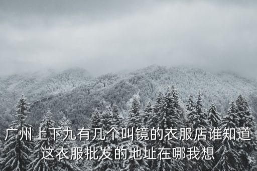 廣州上下九有幾個叫鏡的衣服店誰知道這衣服批發的地址在哪我想