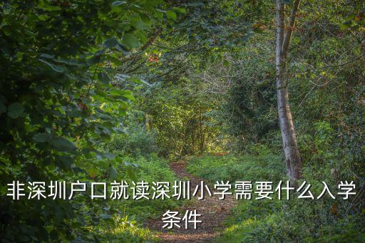 非深圳戶口就讀深圳小學(xué)需要什么入學(xué)條件
