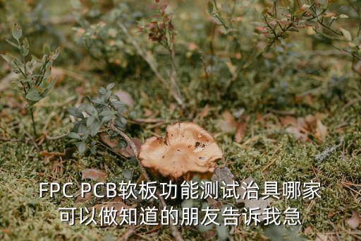 FPC PCB軟板功能測試治具哪家可以做知道的朋友告訴我急