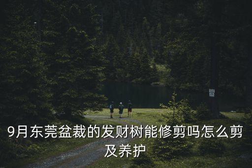 東莞樹枝修剪視頻教程，這棵風(fēng)景樹該如何進(jìn)行修剪求各位大師的指導(dǎo)