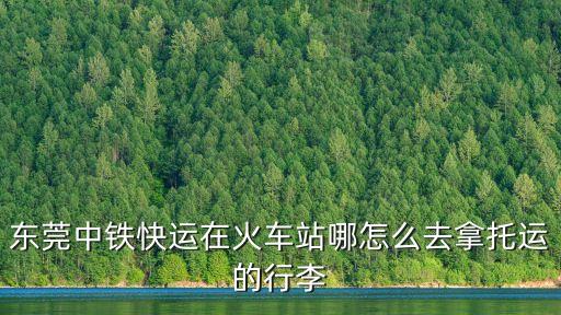 東莞東火車站貨運在哪，東莞的貨運站在哪里