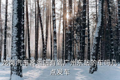 龍崗汽車客運站有到廣州東站的車嗎幾點發車