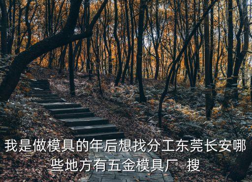 我是做模具的年后想找分工東莞長安哪些地方有五金模具廠  搜