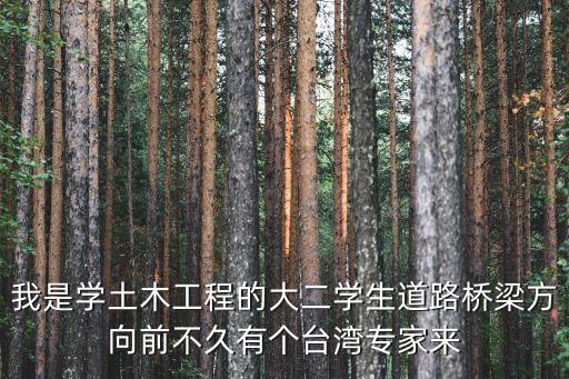 我是學(xué)土木工程的大二學(xué)生道路橋梁方向前不久有個(gè)臺(tái)灣專家來(lái)