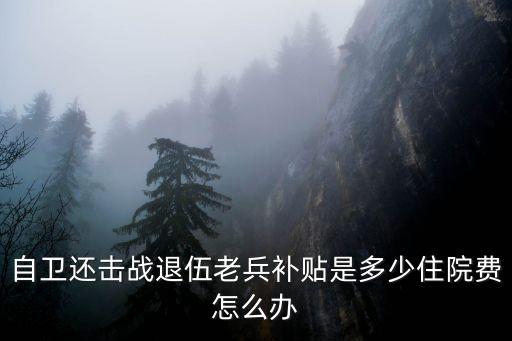 自衛(wèi)還擊戰(zhàn)退伍老兵補(bǔ)貼是多少住院費(fèi)怎么辦