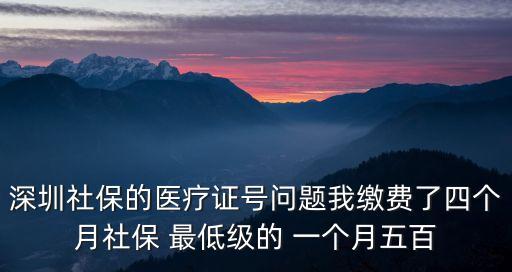 深圳四五月社保顯示空白，社保信息查詢不出來顯示空白