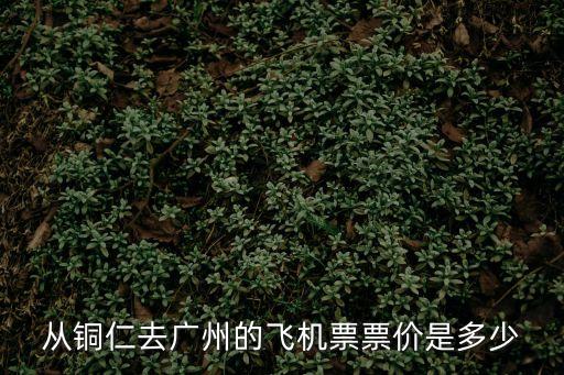 從銅仁去廣州的飛機票票價是多少