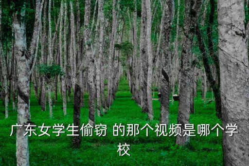 廣州女學生視頻，廣東女學生偷竊 的那個視頻是哪個學校
