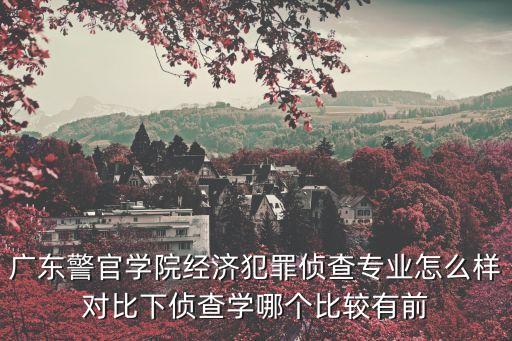 廣州警察學校偵查，廣東警官學院經濟犯罪偵察