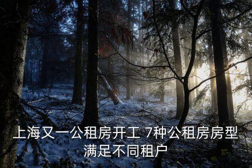 上海又一公租房開工 7種公租房房型滿足不同租戶