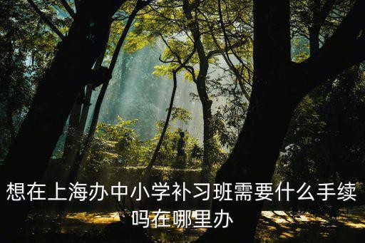 想在上海辦中小學補習班需要什么手續嗎在哪里辦