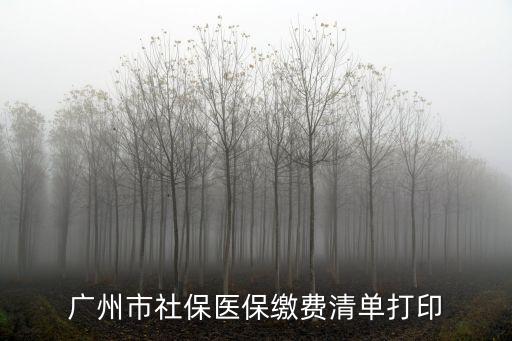 廣州市社保醫保繳費清單打印
