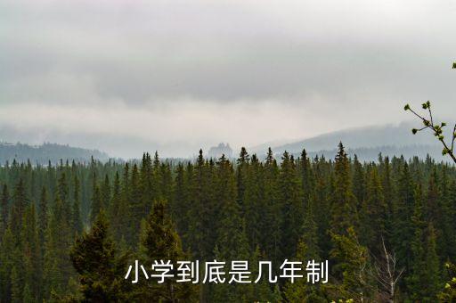 深圳南科大二小是九年制，小學(xué)是九年制嗎
