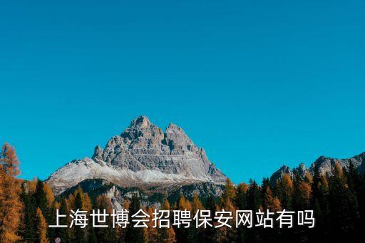 上海市保安服務(wù)總公司蔡衛(wèi)昌，上海世博會(huì)招聘保安網(wǎng)站有嗎