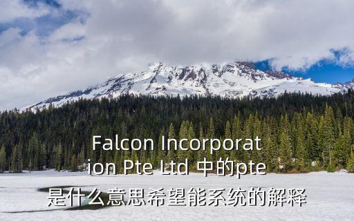 Falcon Incorporation Pte Ltd 中的pte是什么意思希望能系統(tǒng)的解釋