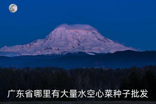 廣州的空心菜種子，廣東省哪里有大量水空心菜種子批發