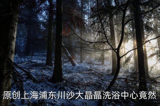 上海市川沙洗浴，原創(chuàng)上海浦東川沙大晶晶洗浴中心竟然
