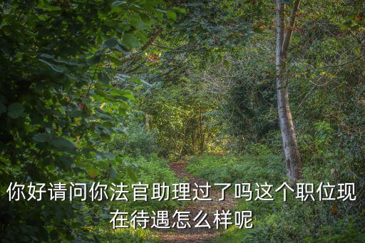 你好請問你法官助理過了嗎這個職位現在待遇怎么樣呢