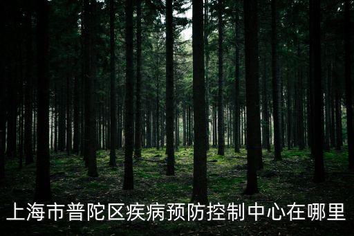 上海市普陀區疾病預防控制中心在哪里