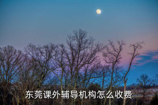 東莞大朗興趣班收費，東莞課外輔導機構怎么收費