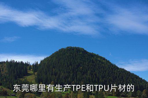 東莞哪里有生產TPE和TPU片材的