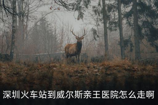 深圳火車站到威爾斯親王醫院怎么走啊
