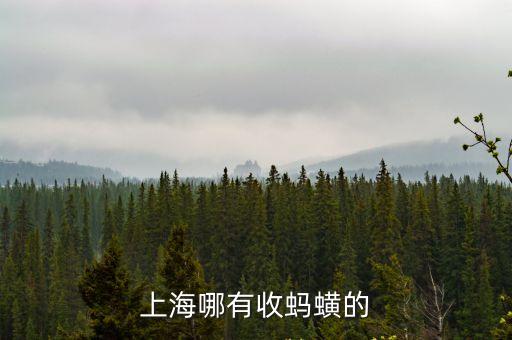 上海哪有收螞蟥的