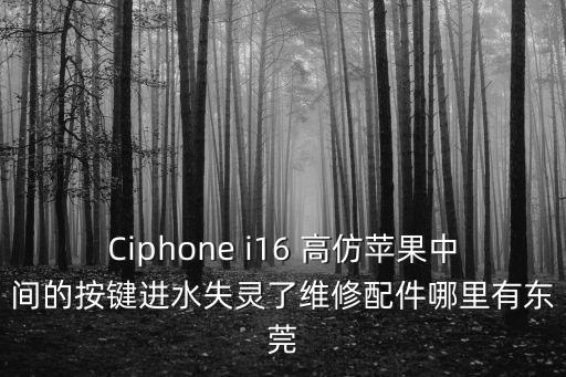 Ciphone i16 高仿蘋果中間的按鍵進水失靈了維修配件哪里有東莞