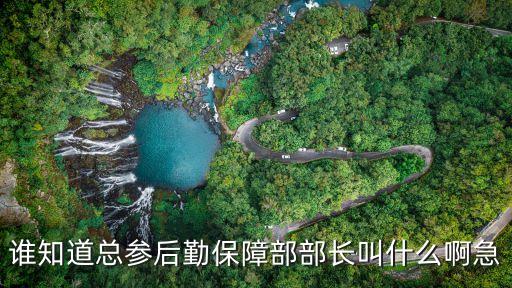 廣州警備區后勤部部長，誰知道總參后勤保障部部長叫什么啊急