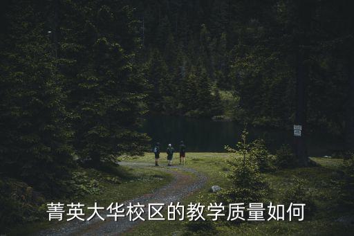 菁英大華校區的教學質量如何