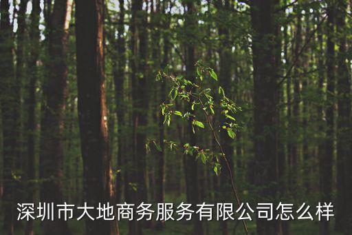 深圳市大地商務服務有限公司怎么樣