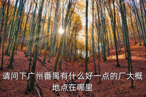 請問下廣州番禺有什么好一點的廠大概地點在哪里