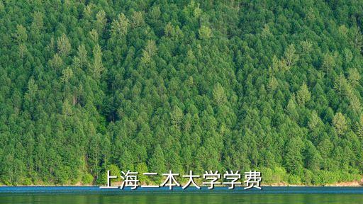 上海二本大學學費