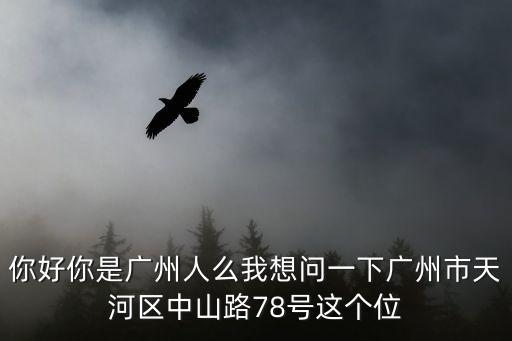 廣州中山路多電子眼嗎，我國哪個城市的電子眼最多