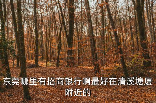 東莞哪里有招商銀行啊最好在清溪塘廈附近的