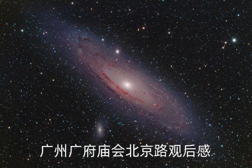 廣州廣府廟會北京路觀后感