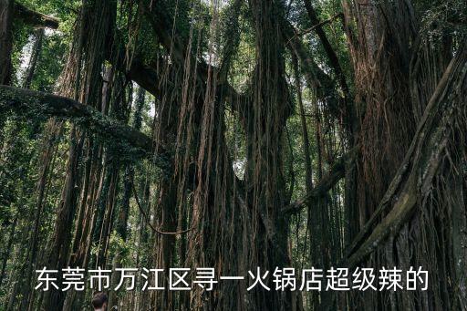 東莞市萬江區尋一火鍋店超級辣的