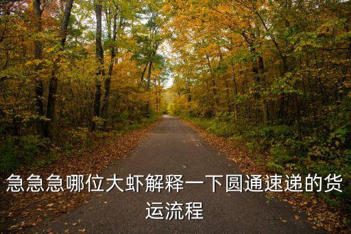急急急哪位大蝦解釋一下圓通速遞的貨運流程